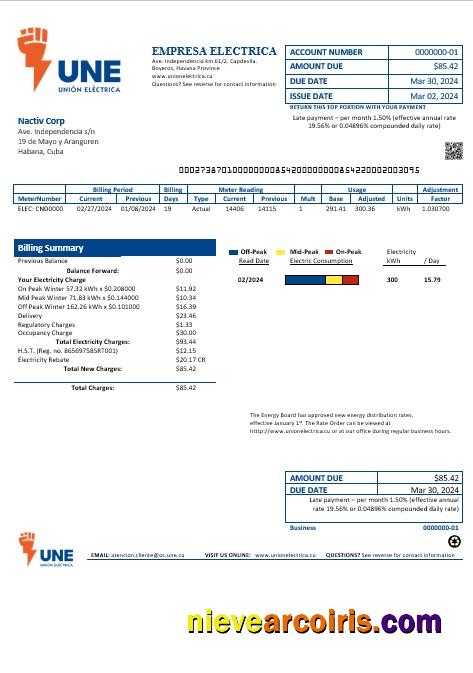 Cuba Empresa Electrica business utility bill